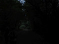 /album/sablanceaux/img-5115-jpg/