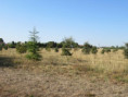 /album/port-denvaux-le-13-aout-2026/img-5120-jpg/