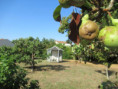 /album/port-denvaux-le-13-aout-2026/img-5131-jpg/