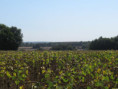 /album/port-denvaux-le-13-aout-2026/img-5140-jpg/