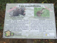 /album/port-denvaux-le-13-aout-2026/img-5147-jpg/