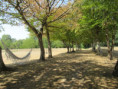 /album/port-denvaux-le-13-aout-2026/img-5168-jpg/