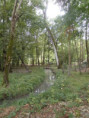 /album/crazannes-le-26-aout-2026/p8260009-jpg/