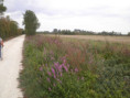 /album/crazannes-le-26-aout-2026/p8260016-jpg/