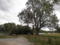 /album/crazannes-le-26-aout-2026/p8260018-jpg/