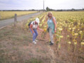 /album/crazannes-le-26-aout-2026/p8260037-jpg/