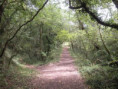/album/crazannes-le-26-aout-2026/p8260052-jpg/
