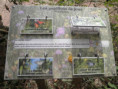 /album/crazannes-le-26-aout-2026/p8260059-jpg/