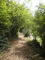 /album/crazannes-le-26-aout-2026/p8260060-jpg/