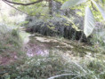 /album/crazannes-le-26-aout-2026/p8260061-jpg/