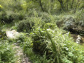 /album/crazannes-le-26-aout-2026/p8260062-jpg/