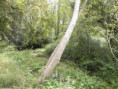 /album/crazannes-le-26-aout-2026/p8260063-jpg/