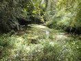 /album/crazannes-le-26-aout-2026/p8260064-jpg/