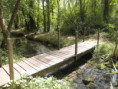/album/crazannes-le-26-aout-2026/p8260068-jpg/