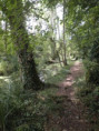 /album/crazannes-le-26-aout-2026/p8260069-jpg/