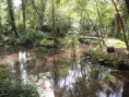 /album/crazannes-le-26-aout-2026/p8260070-jpg/