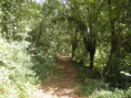 /album/crazannes-le-26-aout-2026/p8260071-jpg/