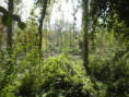 /album/crazannes-le-26-aout-2026/p8260072-jpg/