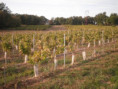 /album/saint-saturnin/pa030006-jpg/