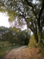 /album/saint-saturnin/pa030010-jpg/