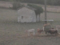 /album/saint-saturnin/pa030012-jpg/