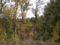 /album/saint-saturnin/pa030014-jpg/