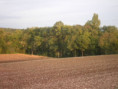 /album/saint-saturnin/pa030023-jpg/