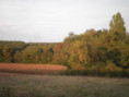 /album/saint-saturnin/pa030025-jpg/