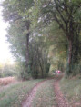 /album/saint-saturnin/pa030027-jpg/