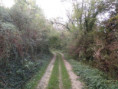 /album/saint-saturnin/pa030031-jpg/
