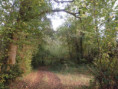/album/saint-saturnin/pa030033-jpg/