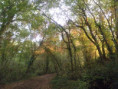 /album/saint-saturnin/pa030035-jpg/