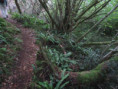 /album/la-roche-courbon/img-6653-jpg/