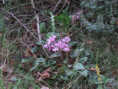 /album/la-roche-courbon/img-6656-jpg/