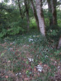 /album/la-roche-courbon/img-6657-jpg/